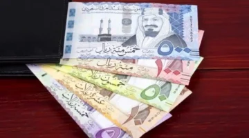 سعر الريال السعودي اليوم في البنك الأهلي مقابل الجنيه المصري وأثر التغيرات على التحويلات المالية